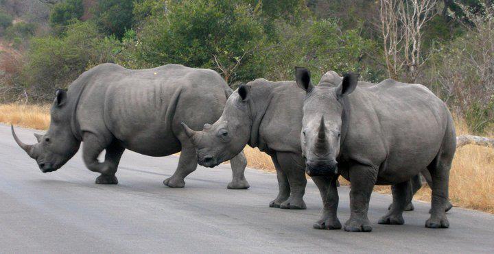 425125_365754436785718_1612388071_n