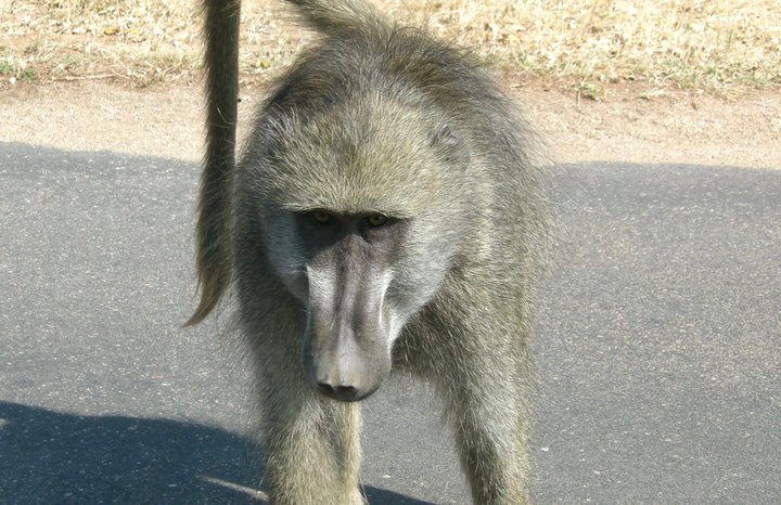 60135_155865224441308_5072846_n