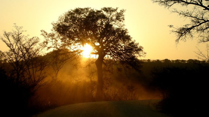 60135_155865227774641_7004367_n