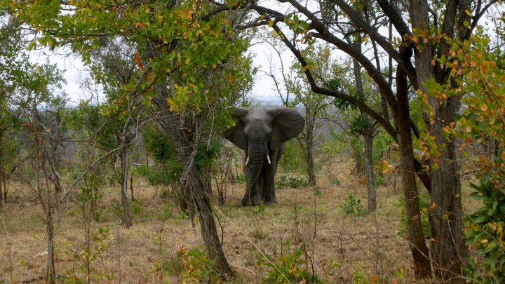 60584_155861684441662_1057886_n