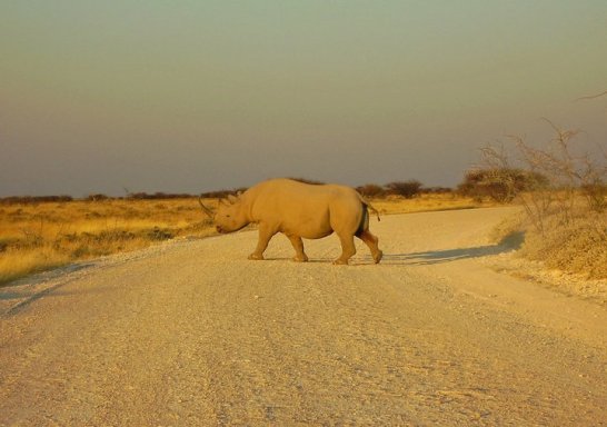 69040_165346530159844_3466850_n