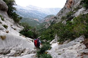 Grande Traversata del Supramonte 508