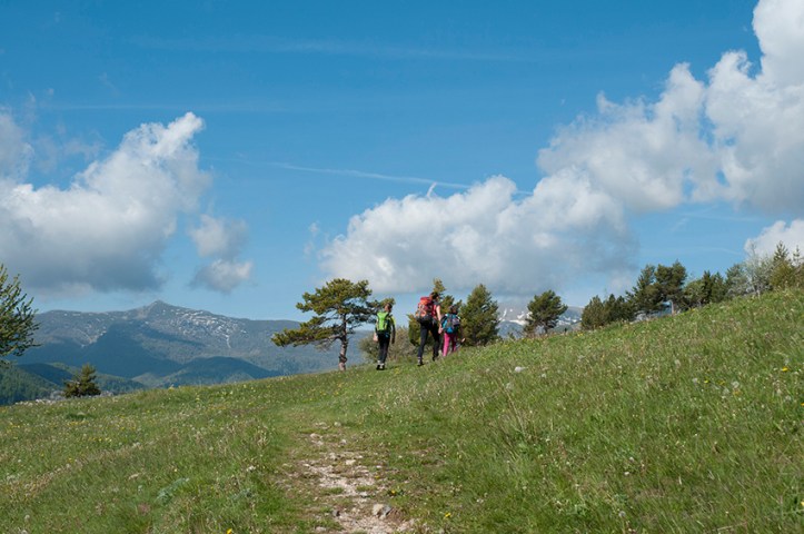 web-val tanaro G. Bernardi