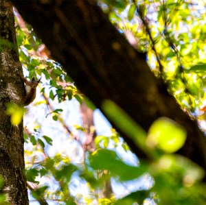 web_DSC8784