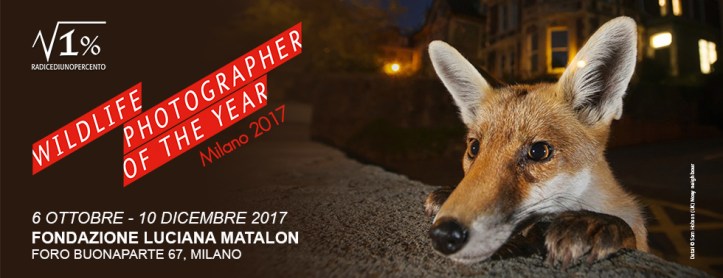 Slide-homepage-WPY-980-larghezza