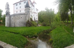 WhatsApp Image 2018-05-06 at 12.10.19 (1)