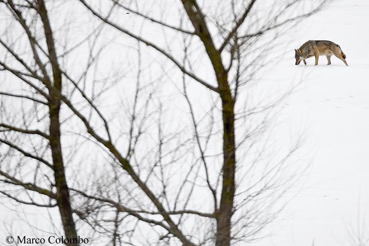 43557426_2042552282463900_5213626453760933888_n